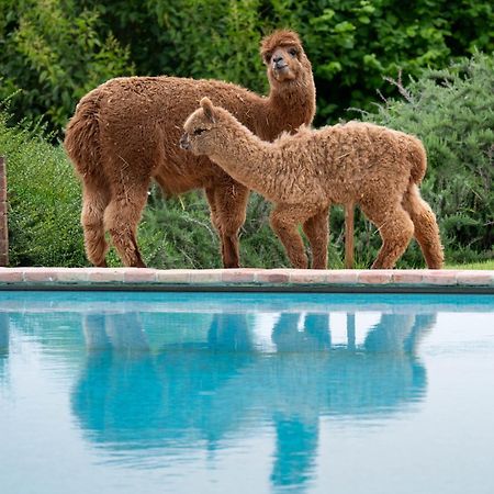 Agriturismo Il Vecchio Mandorlo ペルージャ エクステリア 写真