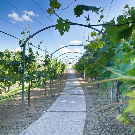 Agriturismo Il Vecchio Mandorlo ペルージャ エクステリア 写真