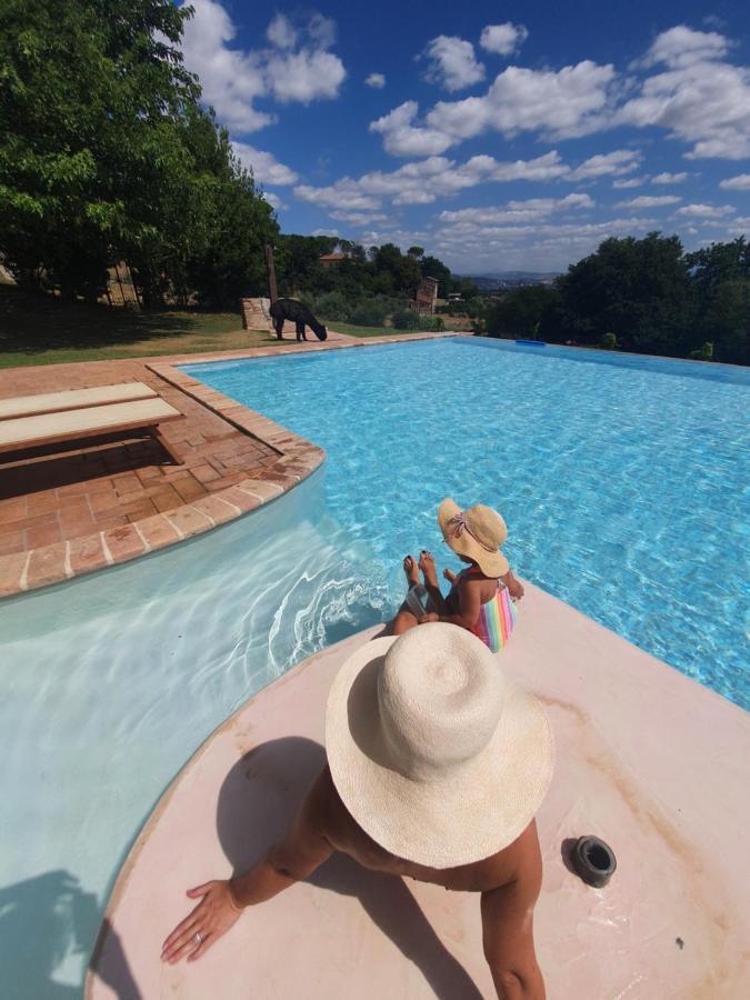 Agriturismo Il Vecchio Mandorlo ペルージャ エクステリア 写真