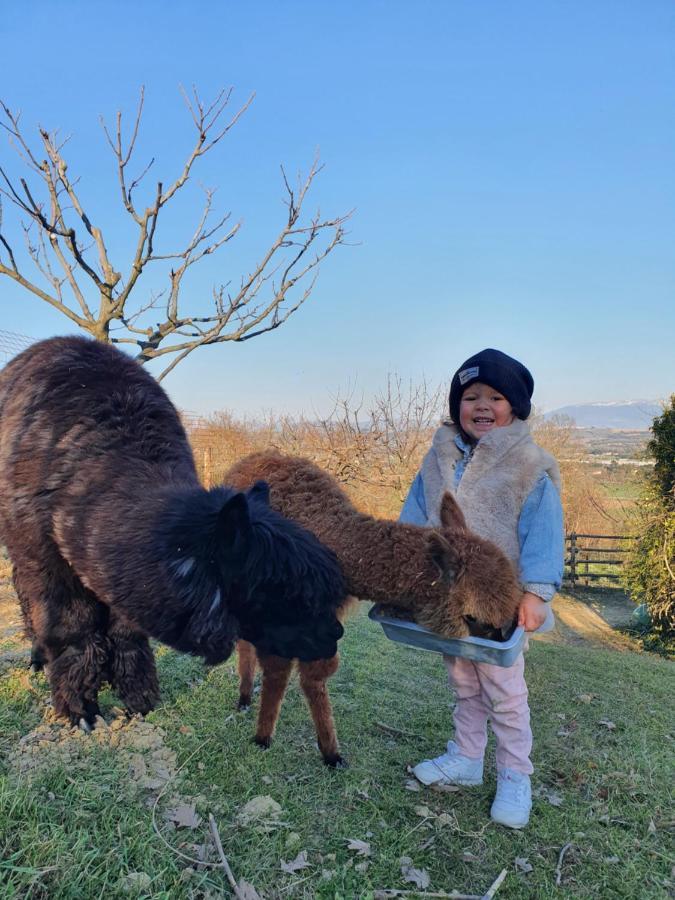 Agriturismo Il Vecchio Mandorlo ペルージャ エクステリア 写真