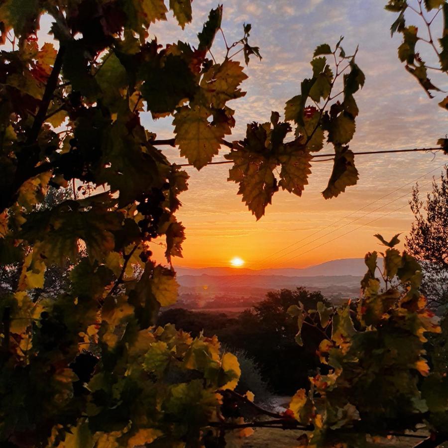 Agriturismo Il Vecchio Mandorlo ペルージャ エクステリア 写真