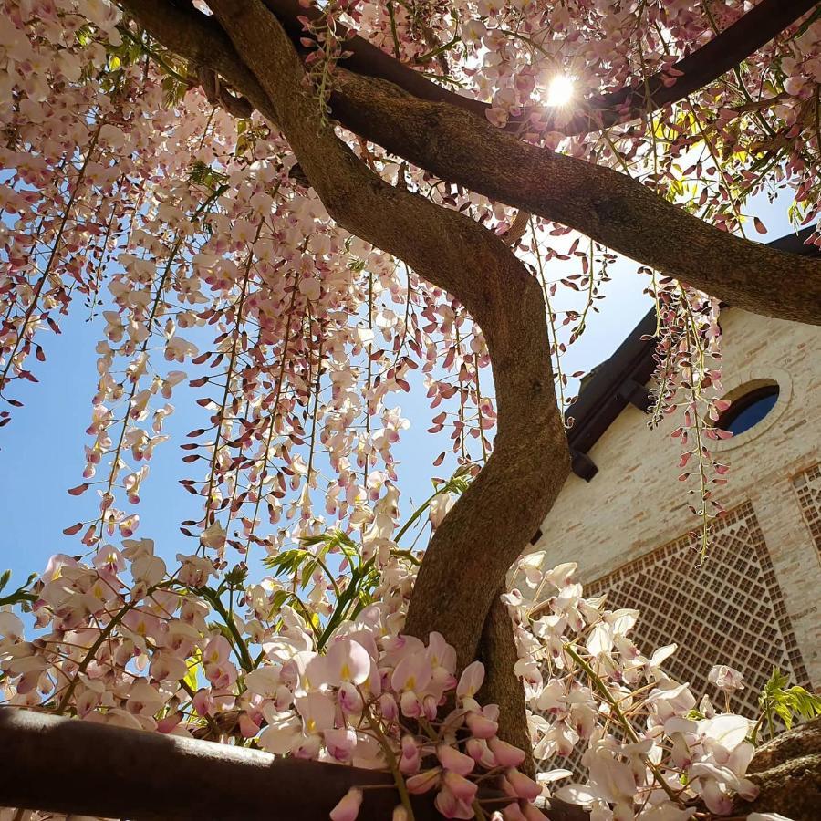 ペルージャ Agriturismo Il Vecchio Mandorloヴィラ エクステリア 写真