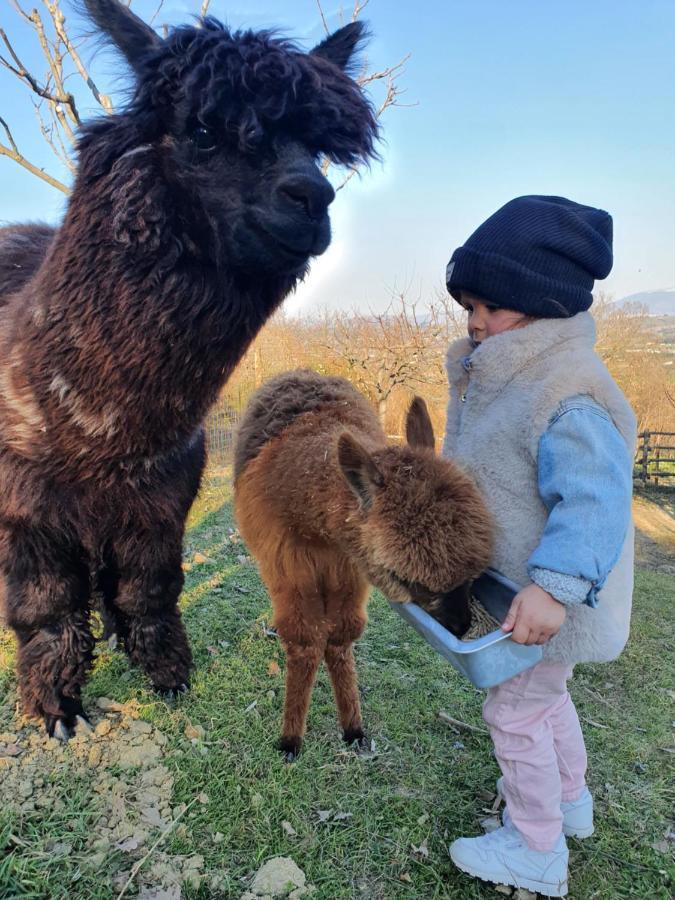 ペルージャ Agriturismo Il Vecchio Mandorloヴィラ エクステリア 写真