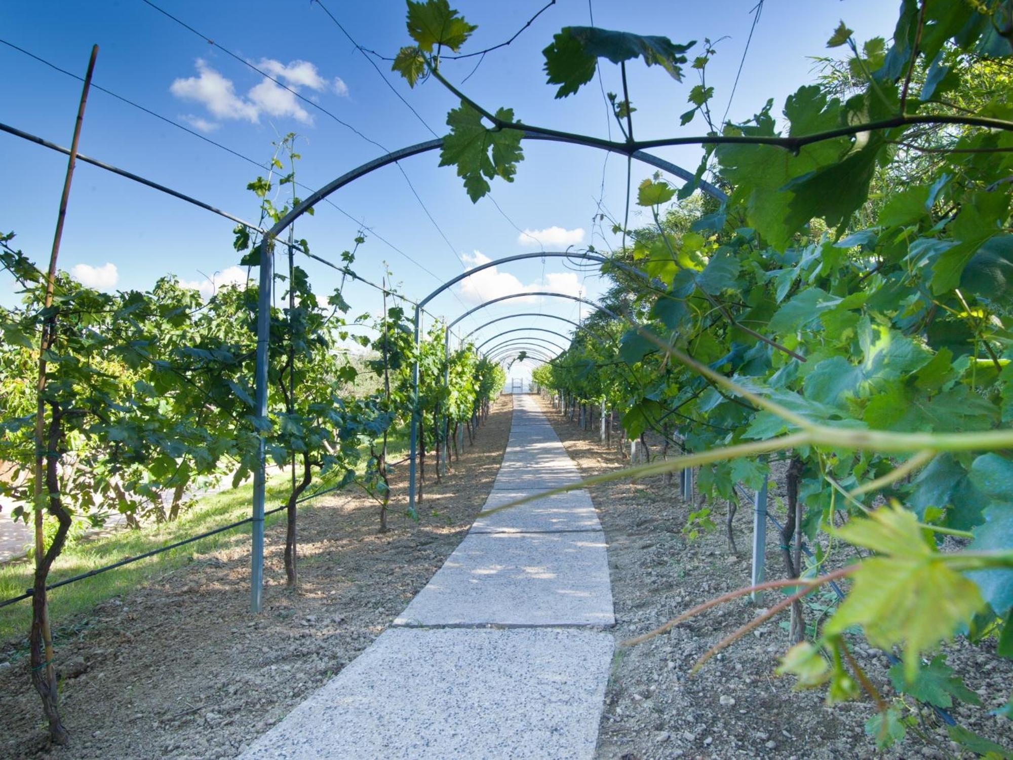 Agriturismo Il Vecchio Mandorlo ペルージャ エクステリア 写真